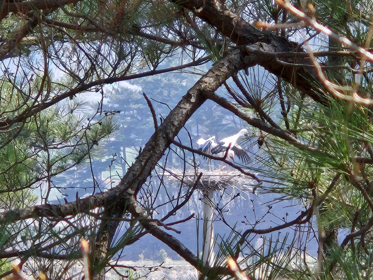 KakaoTalk_20260408_221924580_03