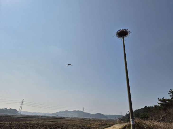 KakaoTalk_20260408_221924580_04