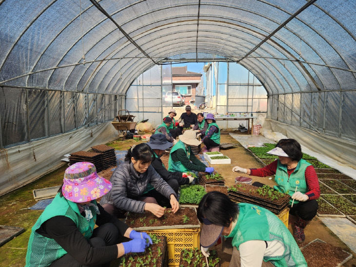 사본 - (사진4)봄꽃 모종 이식1 (1)