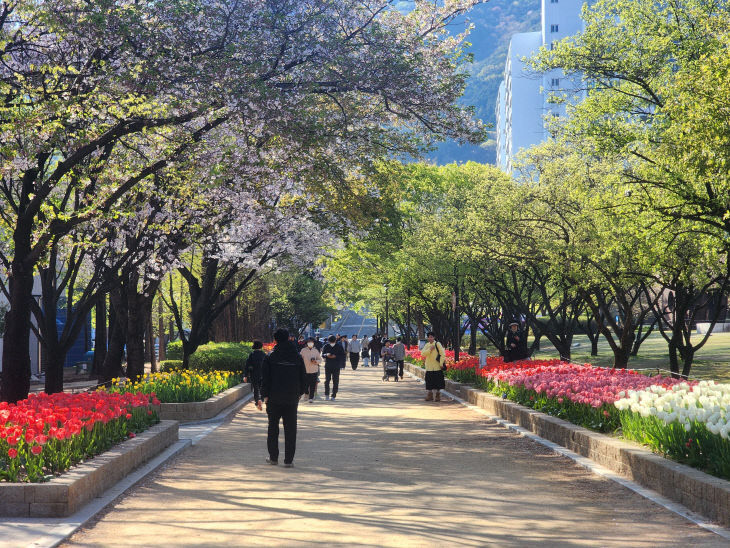 4.9(김해 연지공원 대청 율공원