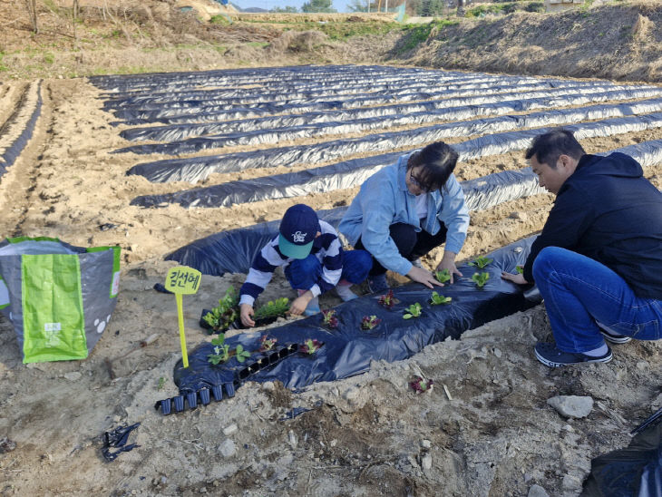 2-1. 증평군 삼보산골마을 주말농장 관련 사진 1