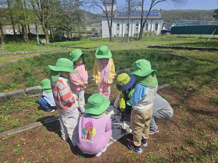 사진자료1_씨앗체험(유아숲프로그램)