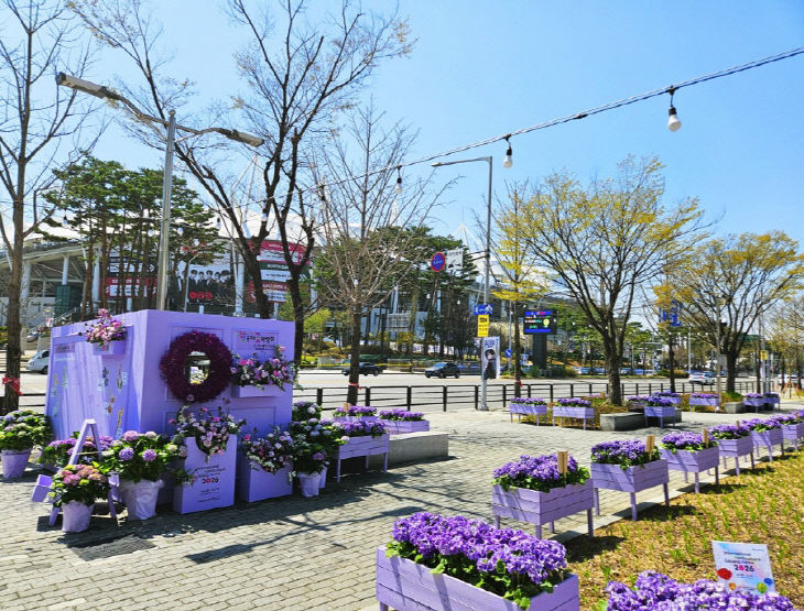 보랏빛 화훼 포토존 설치