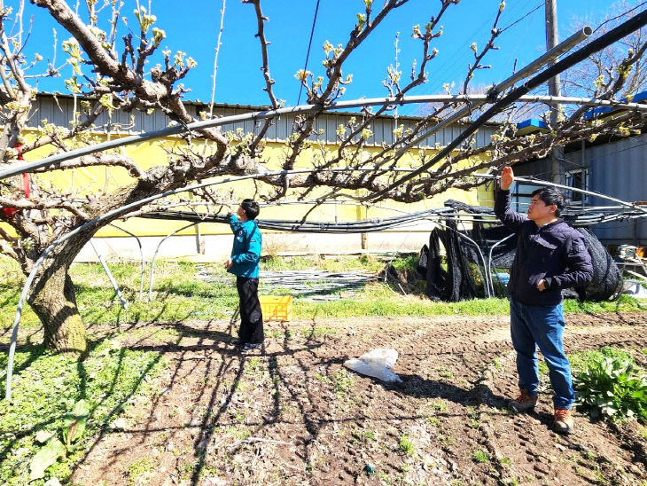 7447587432511779531_5330595189 (1)