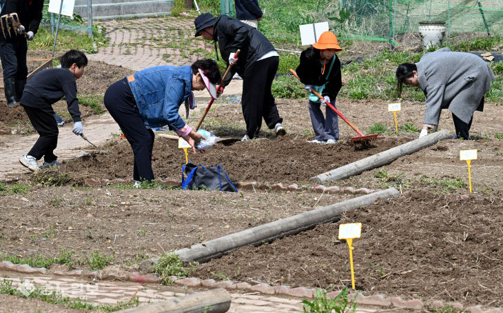 20260411-도시민 텃밭 개장