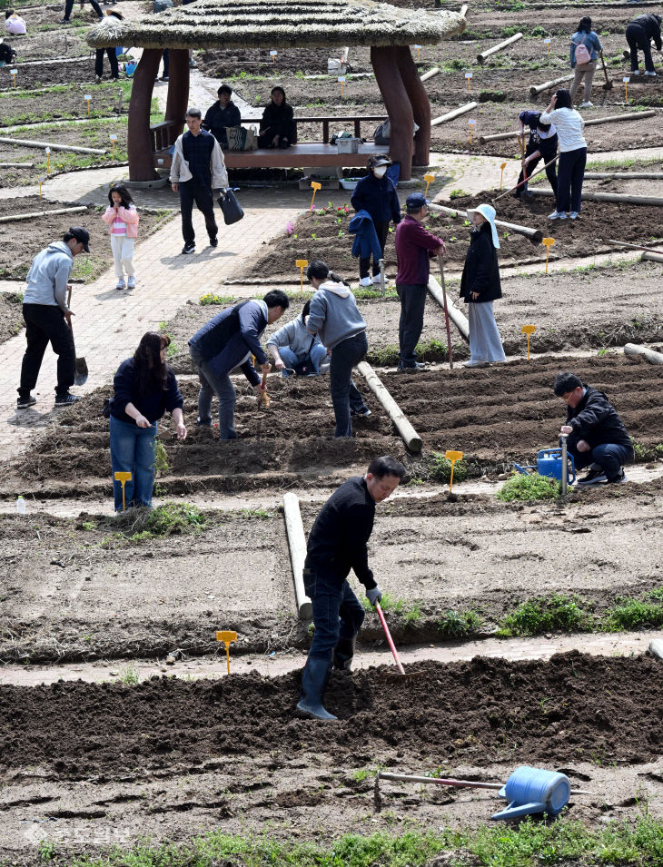 20260411-도시민 텃밭 개장1