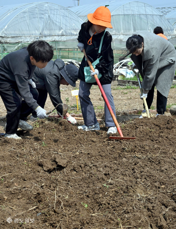 20260411-도시민 텃밭 개장3