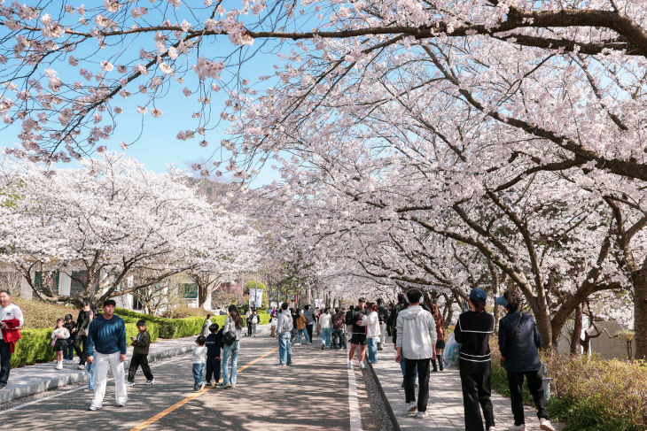 왕인문화 축제 현장2