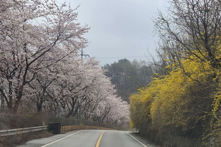 KakaoTalk_20260413_081512482