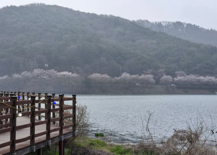 KakaoTalk_20260413_081512482_02