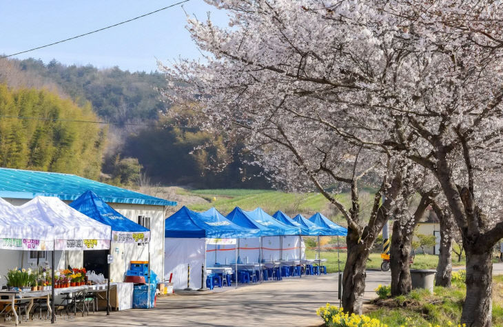 KakaoTalk_20260413_081512482_04