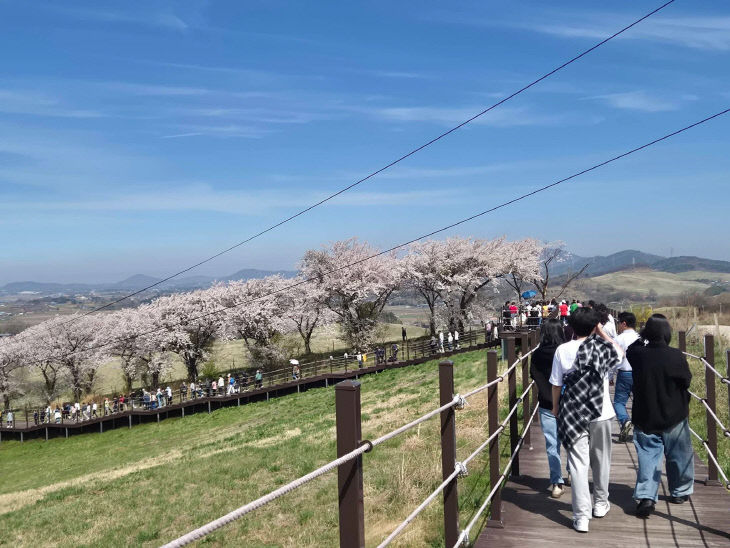 670877703_26605318295795777_6316404666982195057_n