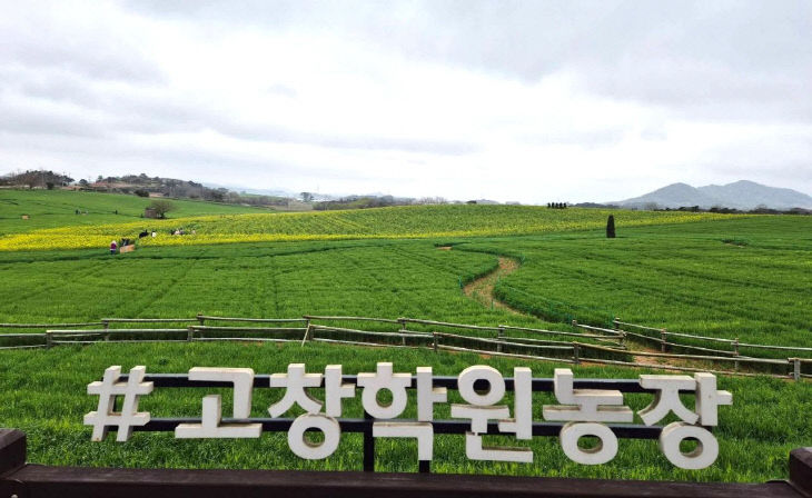 _1775804178831_7448262570491660803_5911303805