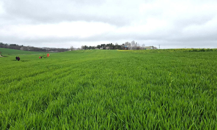 775804246733_7448262855291193135_5911965378