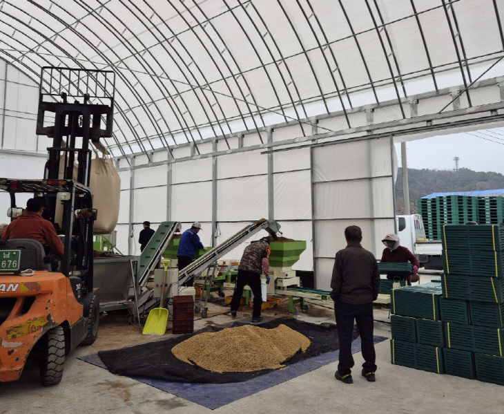 서천군이 벼 공동육묘장에서 지원 작업을 하고 있다