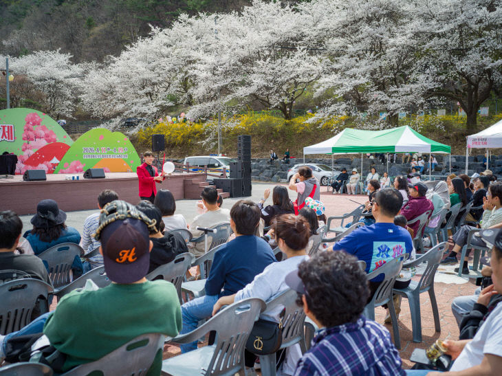 제25회 금산 보곡산골 산벚꽃 축제 3