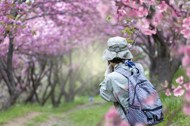 ▲ 사진설명 = (1) 시민사진가 활동산)