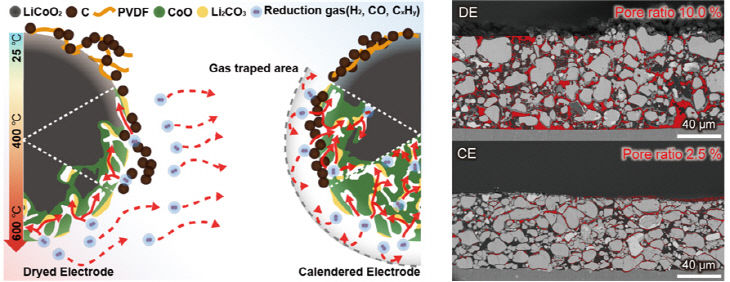 드라이 전극(DE)과 캘린더링지