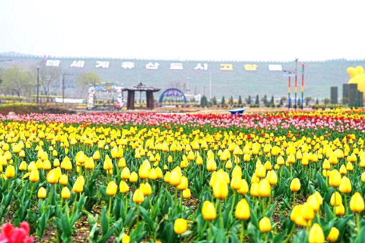 448969158887505103_670878268460431