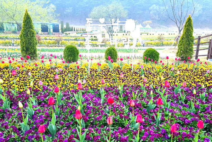 1775931655178_7448797245042601366_6505295788