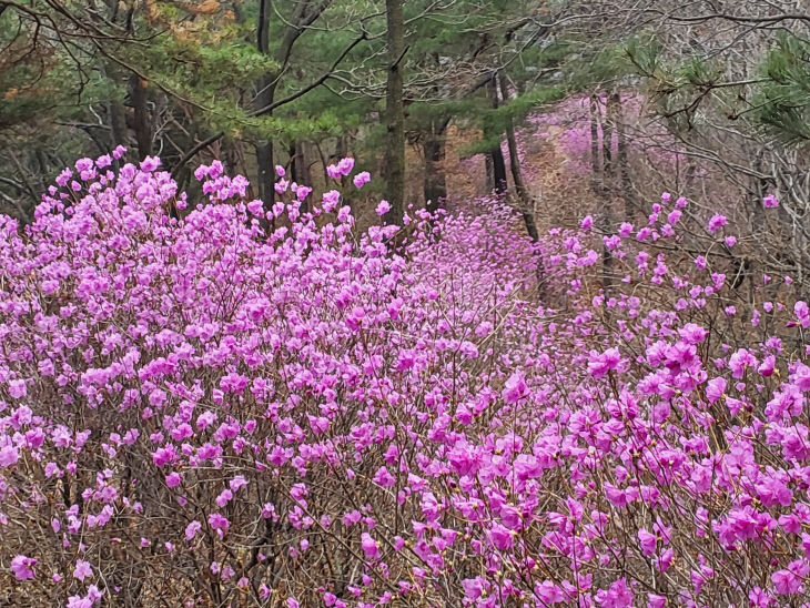 KakaoTalk_20260413_093453648