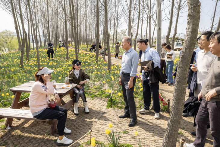 0414 계양아라온 수선화 절정... 윤환 구청장 현장 점검 (3)