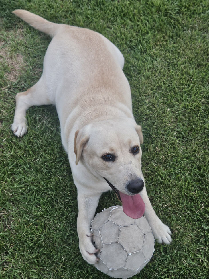 4.14 김해시 정례브리핑 보도자료(농업기술센터)6원