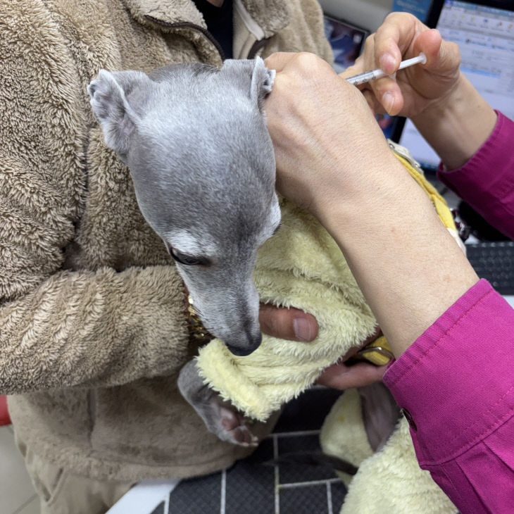 4.14 김해시 사진