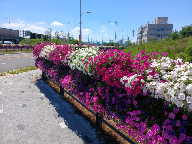 4.14 김해시 정례브리핑 보도자료(농업기술센단장