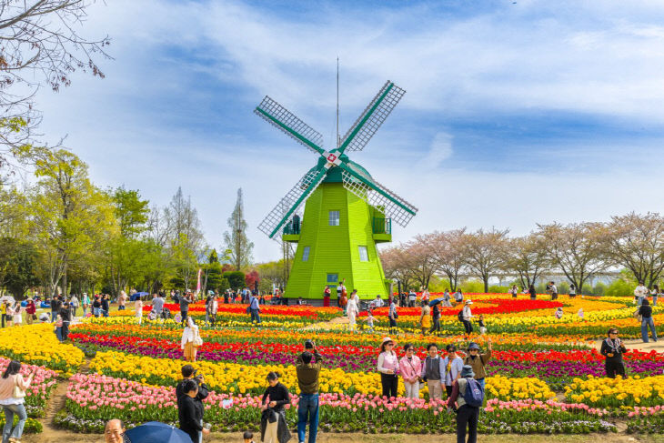 사본 -1 순천만국가정원 네덜란드정원 (2)