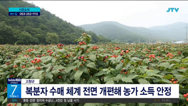 1776137808291_66363879105255