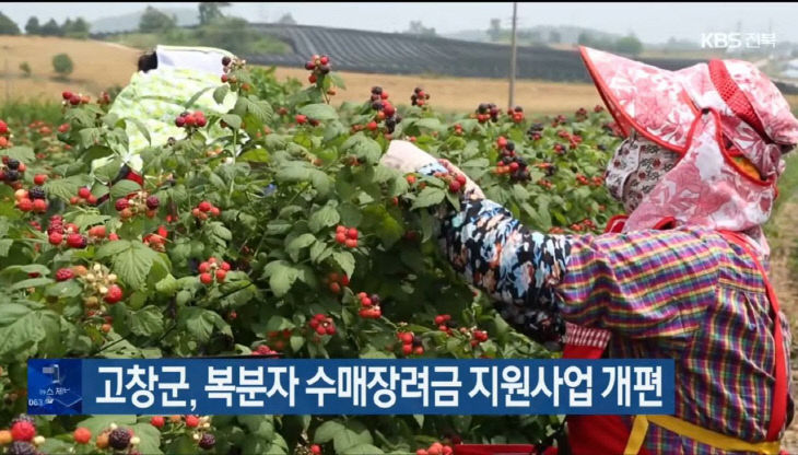 1776137787177_66332774586621