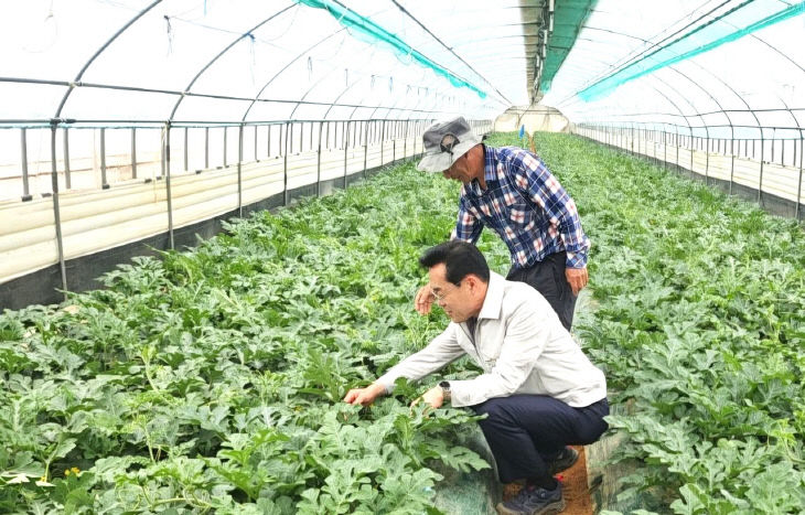 1776149040307_66691394935703