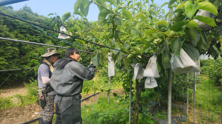 봄철 영농종합상황실 사진 (1)