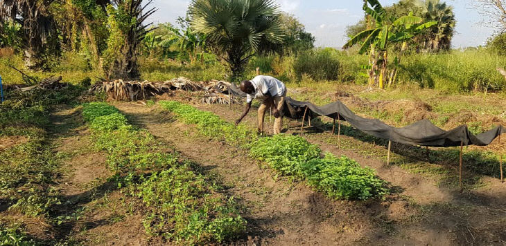 KakaoTalk_20260409_165153624_05