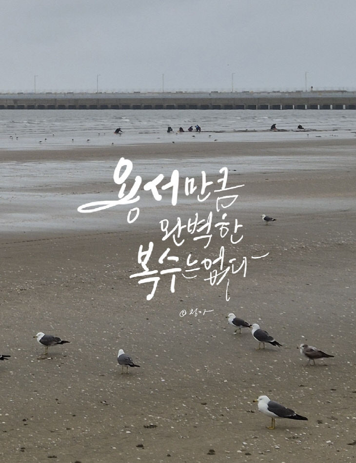 KakaoTalk_20260414_080511547