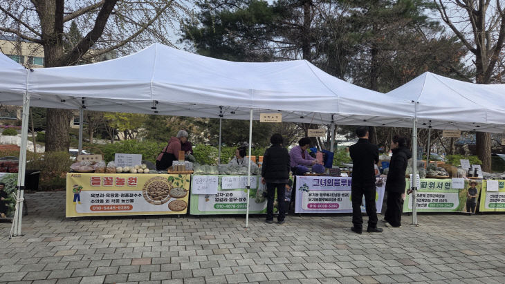 (은행나무길 직거래장터 개장