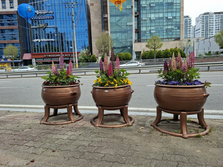 7.봄꽃 식재 모습 (1)