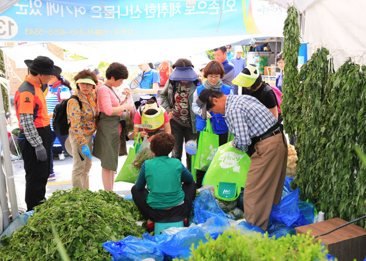 영양-제10회 영양산나물축제 2 (12)