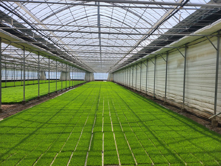 4.16(김해시, 벼 육묘상자 처리제 지원)1