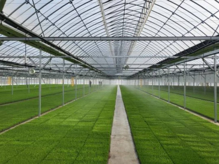 7450654327266091742_132096533102732