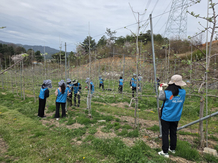 사본 - 영농도우미 사진2