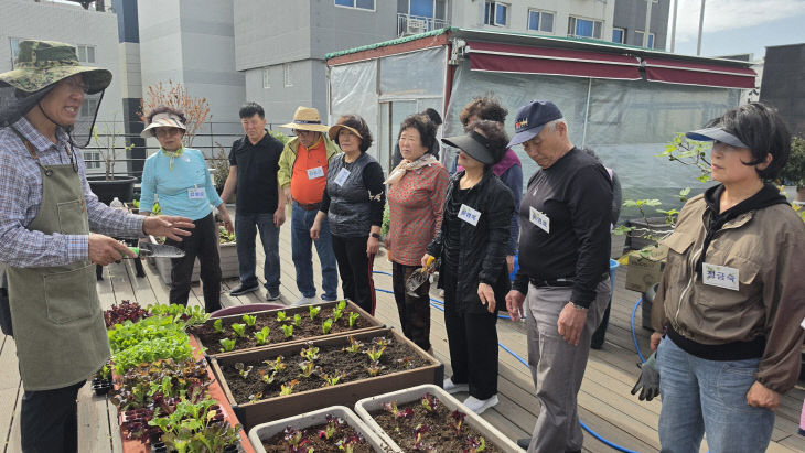 보도사진2(민락동『까치 )