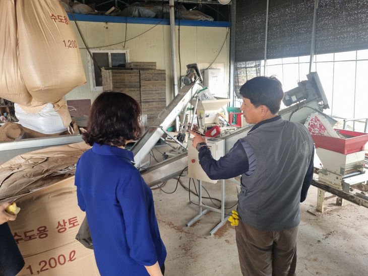 벼 종자소독 및 육묘 관리 현장 기술지원