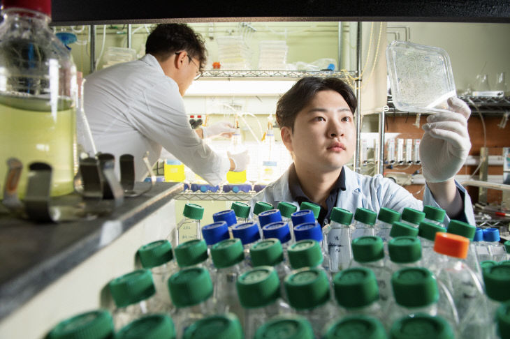 UST 학생의 연구 모습