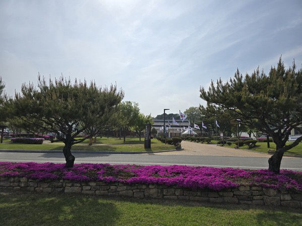 2.윤봉길의사유적 봄꽃 풍경(꽃잔디 핀 윤봉길의사기념관)