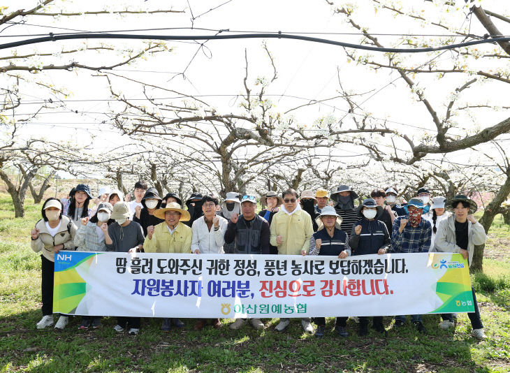 아산시의회 배나무 인수분 지원 자원봉사 나서