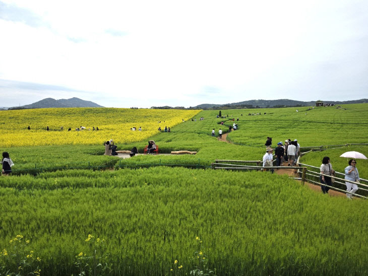 Resized_20260418_144753_226469496298502