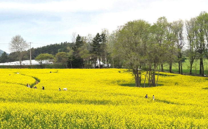 Resized_FB_IMG_1776583123565_226577630094085