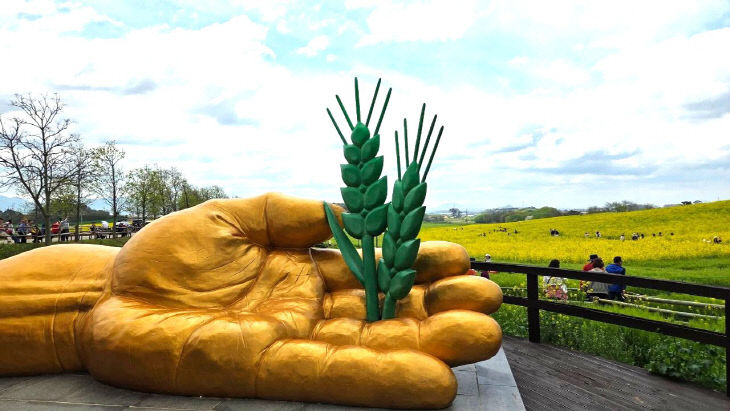 Resized_FB_IMG_1776583074539_226534945942227